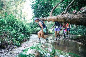 BIB: 
                            <button type="button" onclick="openModal(25446457)" class="btn btn-primary btn-sm float-right btn-popup" data-toggle="modal" data-target=".modal-high-quality">
                        <i class="fas fa-shopping-cart"></i> Add to Cart
                    </button>
                                            <button type="button" onclick="isThisMe(25446457, true)" class="btn btn-success btn-sm float-right btn-popup btn-isme hidden" data-toggle="tooltip" data-placement="bottom" title="นี่คือรูปของคุณใช่ไหม คลิกที่นี่เพื่อเอาเข้าอัลบั้ม">
                        <i class="fas fa-plus"></i> Add to album
                    </button>
                    <button type="button" onclick="isThisMe(25446457, false)" class="btn btn-warning btn-sm float-right btn-popup btn-isnotme hidden">
                        <i class="fas fa-ban"></i> Remove from album
                    </button>